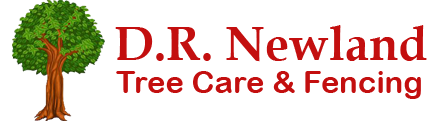 DR Newland Tree Care Fencing