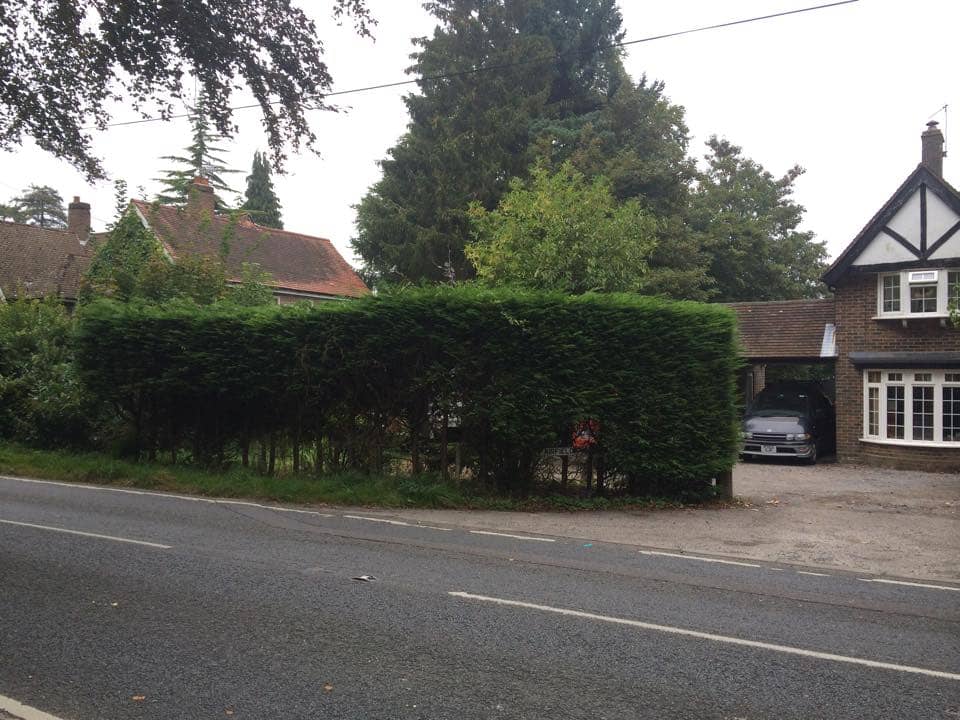 Tree Surgeons in Lingfield, Fencing Contractors in Edenbridge